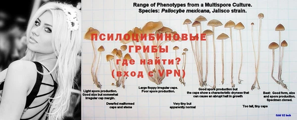 бутик Нефтекумск