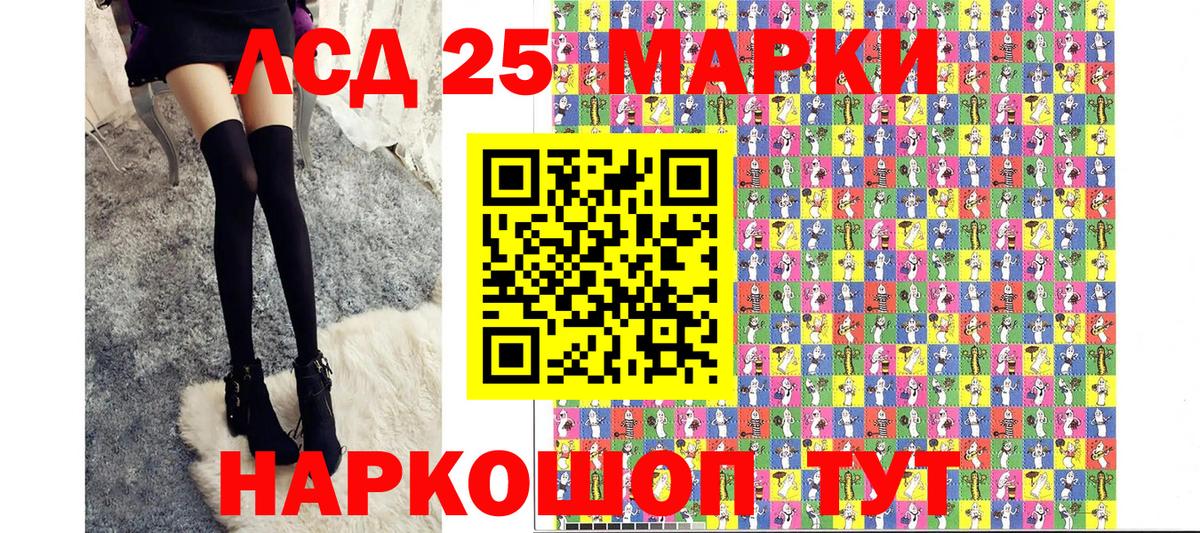 МЕФ Кингисепп