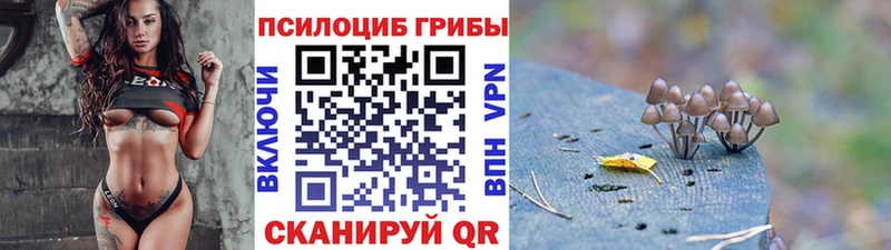 Галлюциногенные грибы MAGIC MUSHROOMS  Кингисепп 