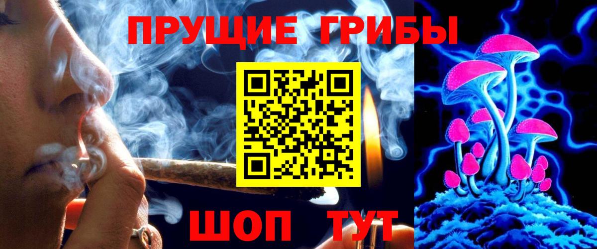 Галлюциногенные грибы Psilocybe  Галлюциногенные грибы прущие грибы  Кингисепп 