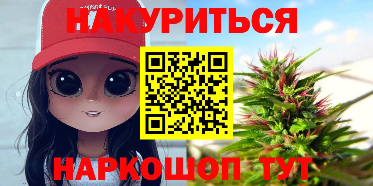 Бошки Шишки планчик Кингисепп